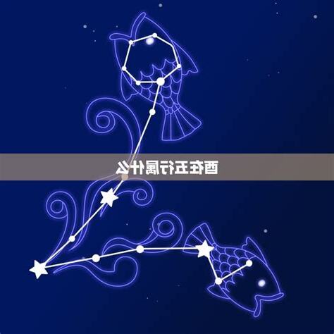 乙未 五行